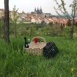 picnic in Prague