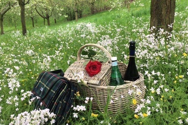 picnic in Prague